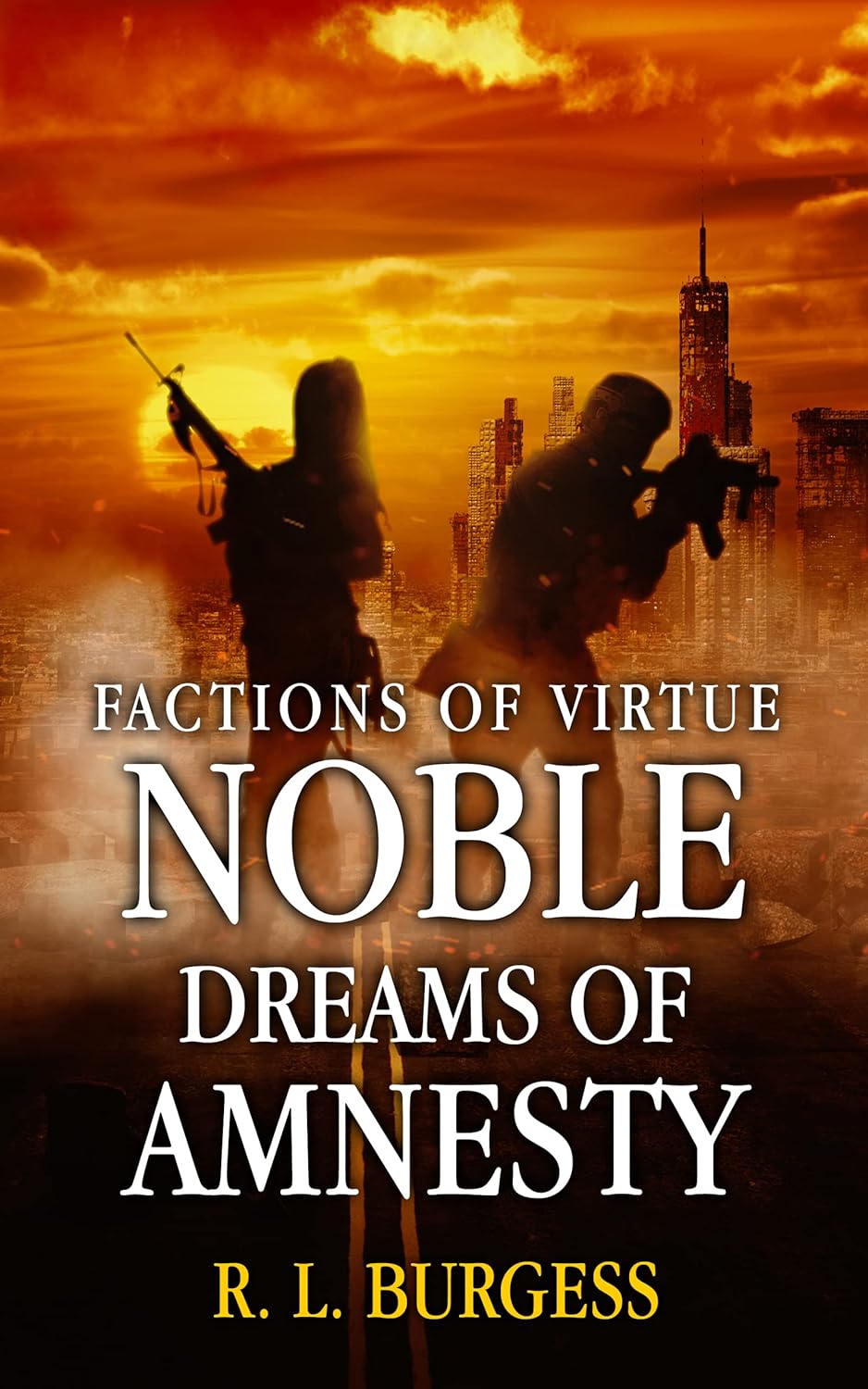 Noble Dreams of Amnesty book cover