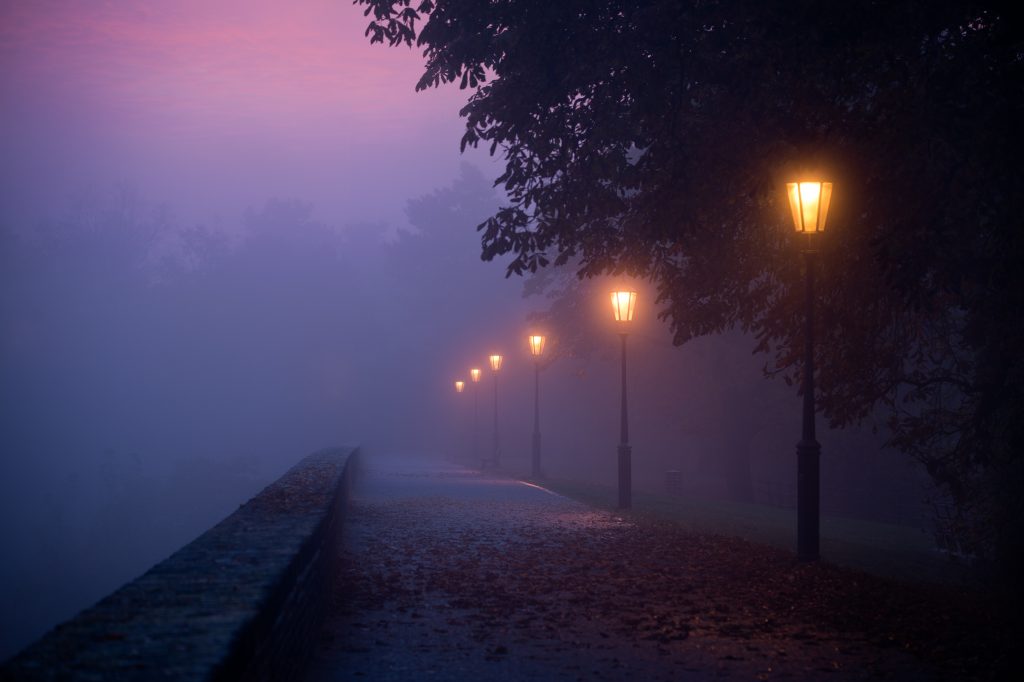 Misty forest path header image